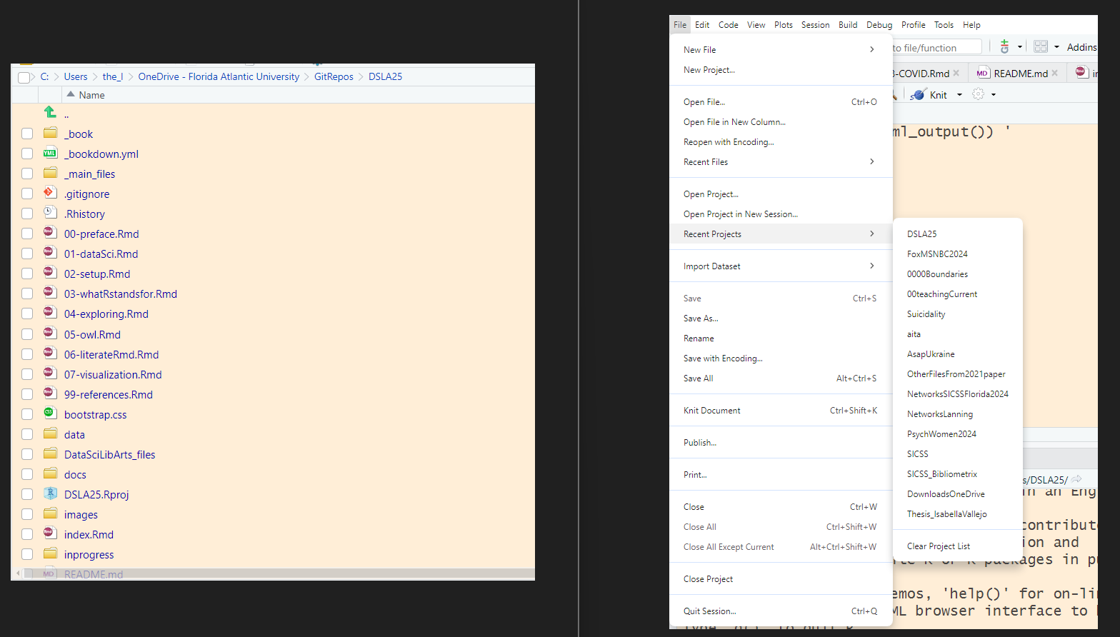 Left panel: Files pane in RStudio for this manuscript. Right panel: Menu showing some other recent projects.