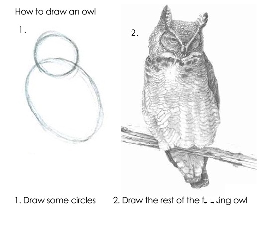 Draw the rest of the owl.